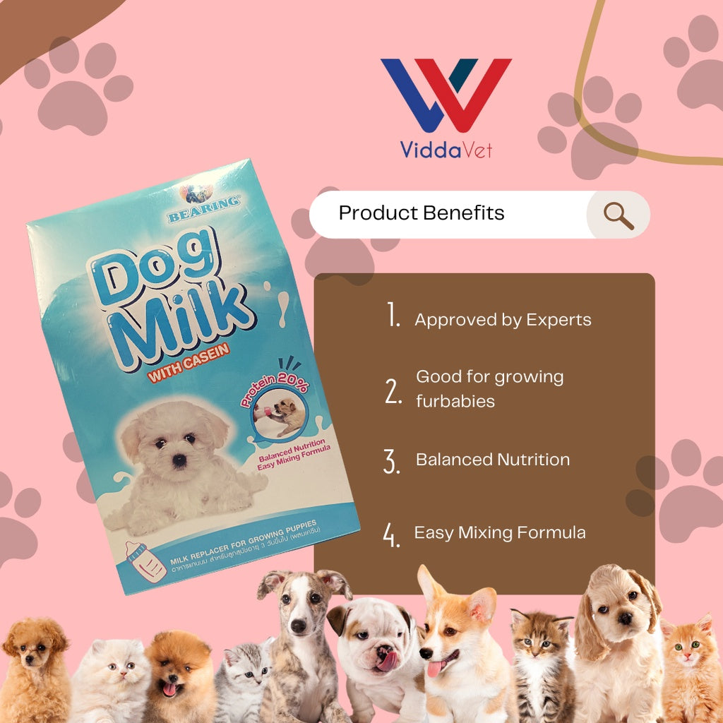 Bearing Dog Milk 300g