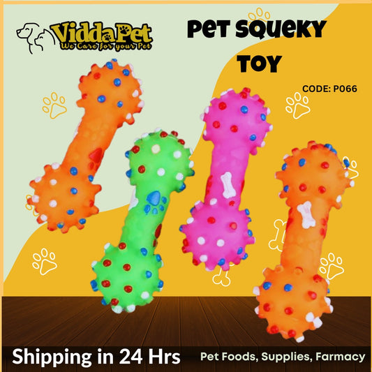 Squeaky Toy