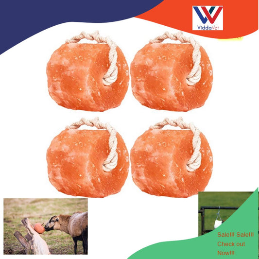 Natural Himalayan Salt Lick 4pcs
