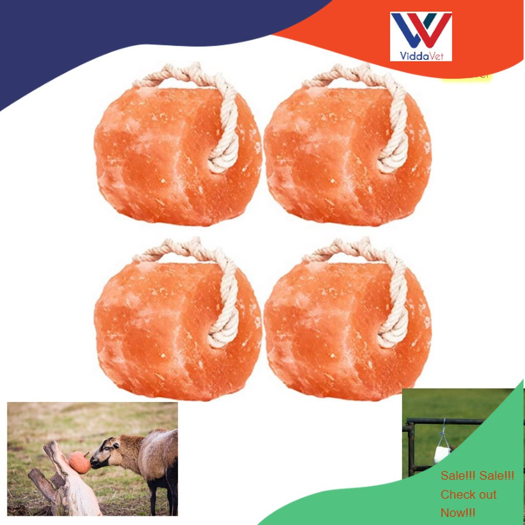 Natural Himalayan Salt Lick 4pcs