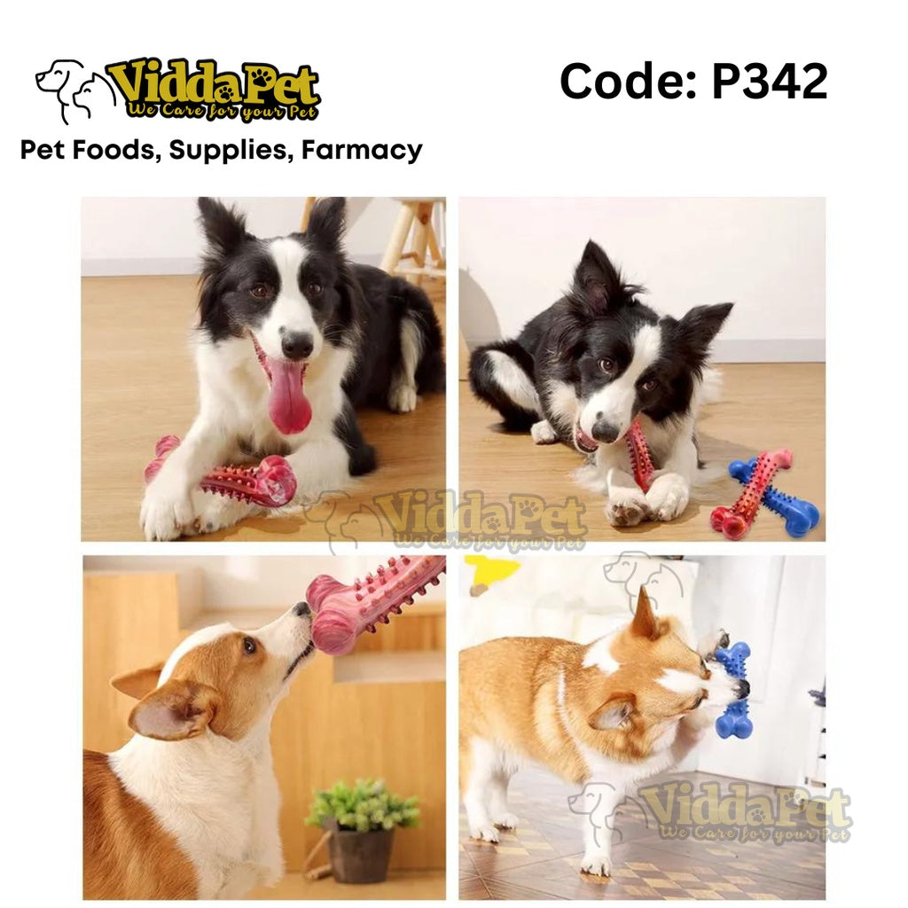 Rubber Dog Toy with Thorn Bone Teether