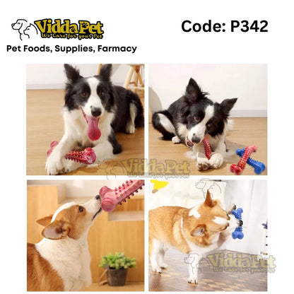 Rubber Dog Toy with Thorn Bone Teether