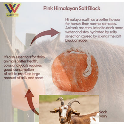 Natural Himalayan Salt Lick 4pcs