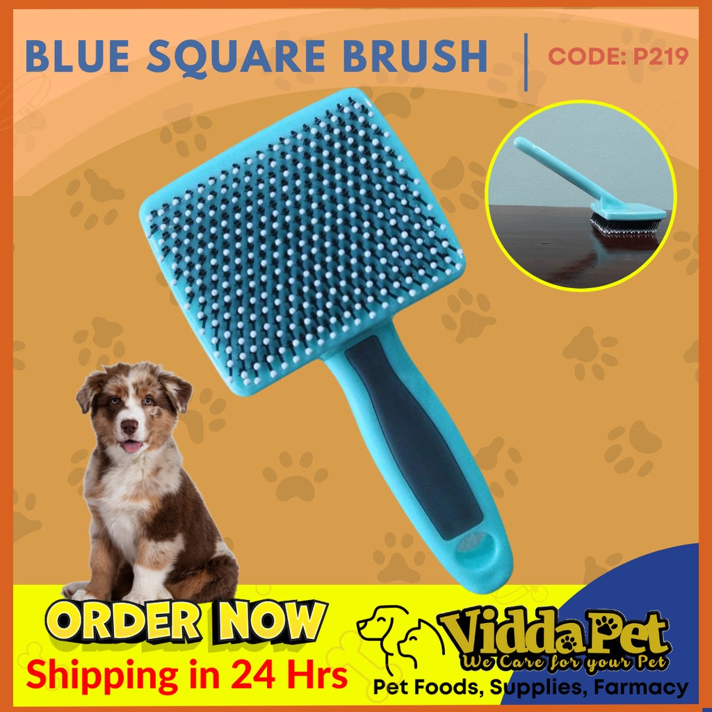 Blue Square Pet Brush (S/M)