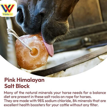 Natural Himalayan Salt Lick 4pcs