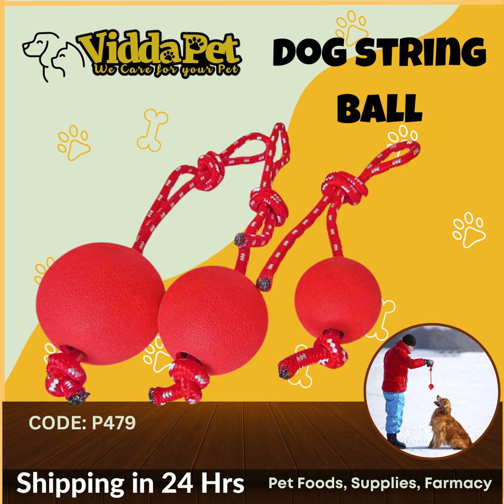 Red Round Dog String Rubber Ball With Rope