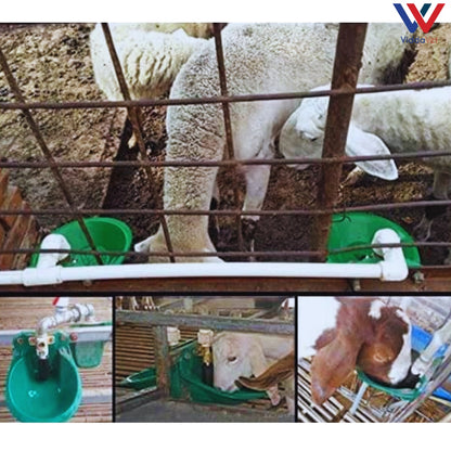 Automatic Water Bowl Drinker Goats