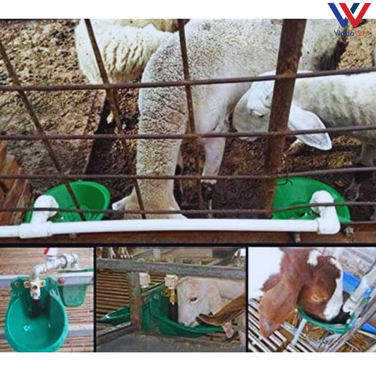 Automatic Water Bowl Drinker Goats