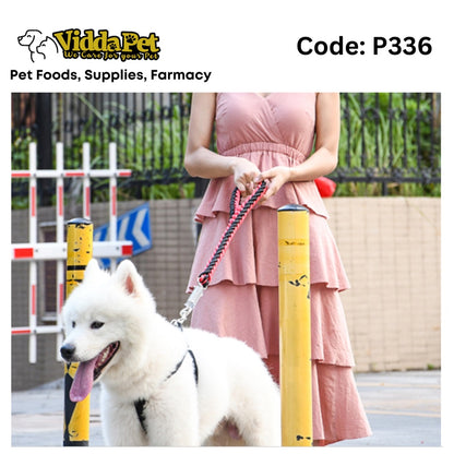 Dog Spring Short Leash