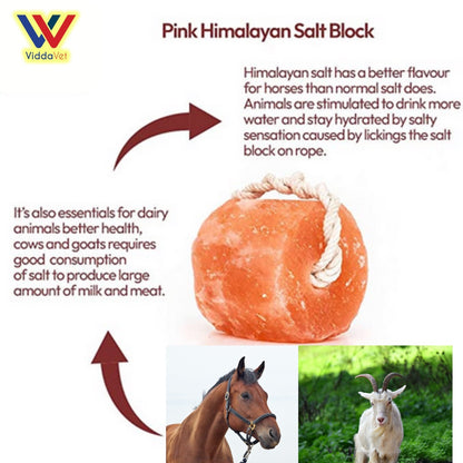 Natural Himalayan Salt Lick 4pcs