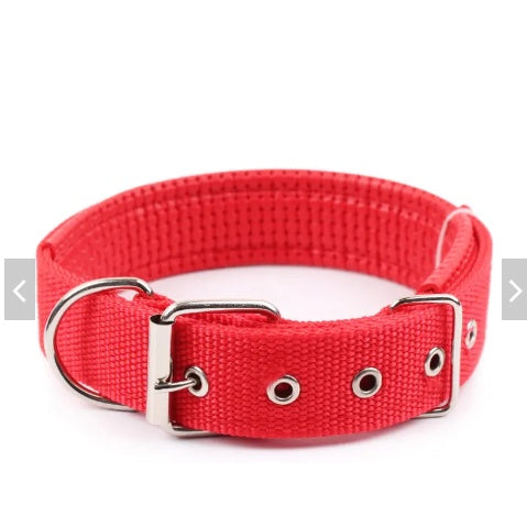 Pet Collar Po-Em