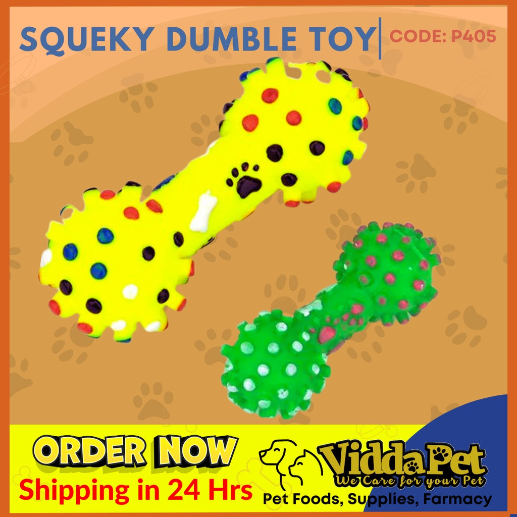 Squeaky Toy