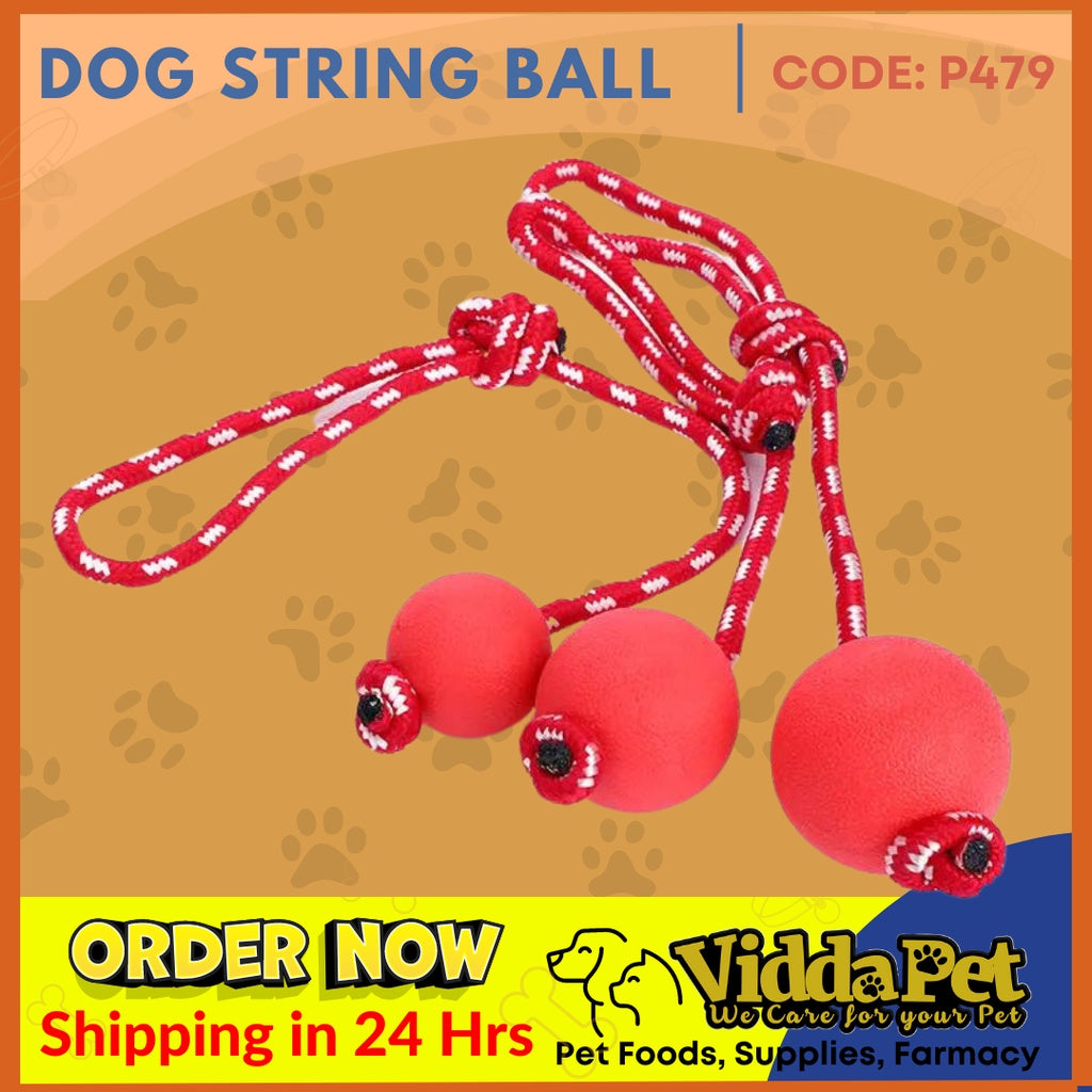 Red Round Dog String Rubber Ball With Rope