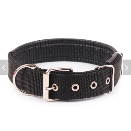 Pet Collar Po-Em