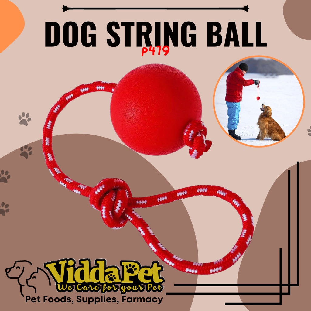 Red Round Dog String Rubber Ball With Rope - Interactive Pet Toy ...