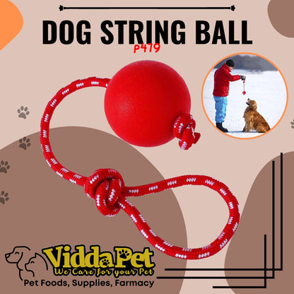 Red Round Dog String Rubber Ball With Rope