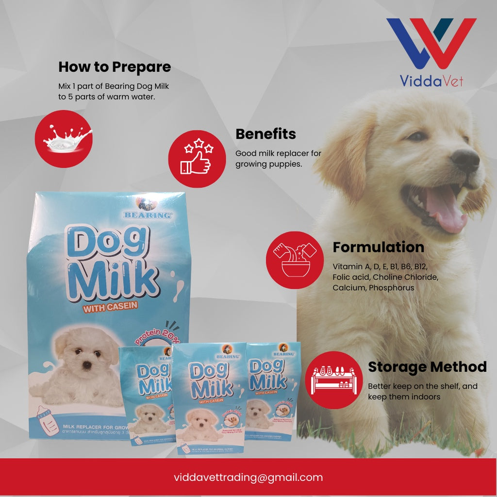 Bearing Dog Milk 300g