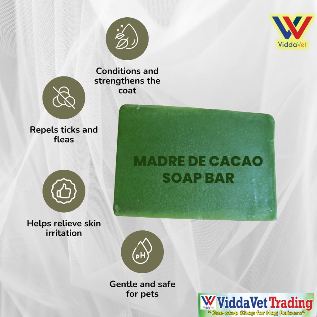 Madre De Cacao Soap