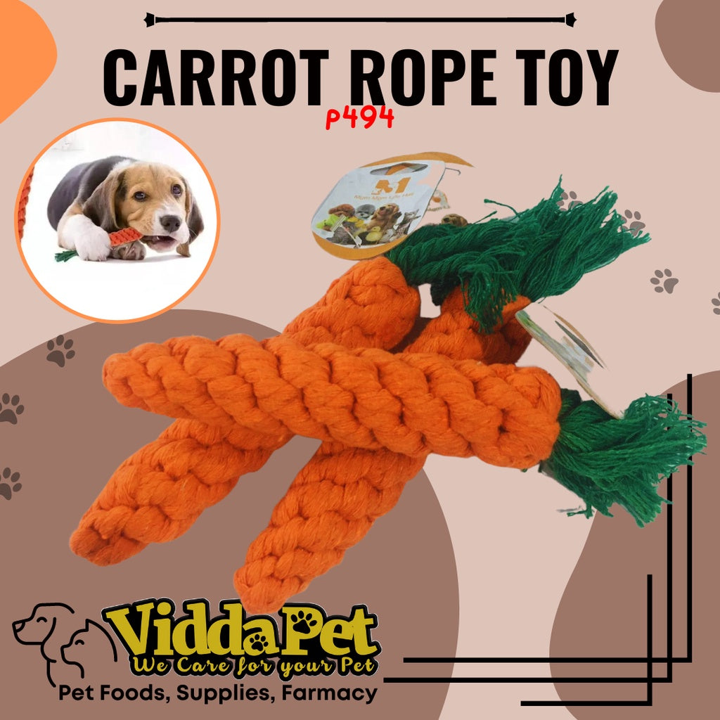 Pet Carrot Rope toy