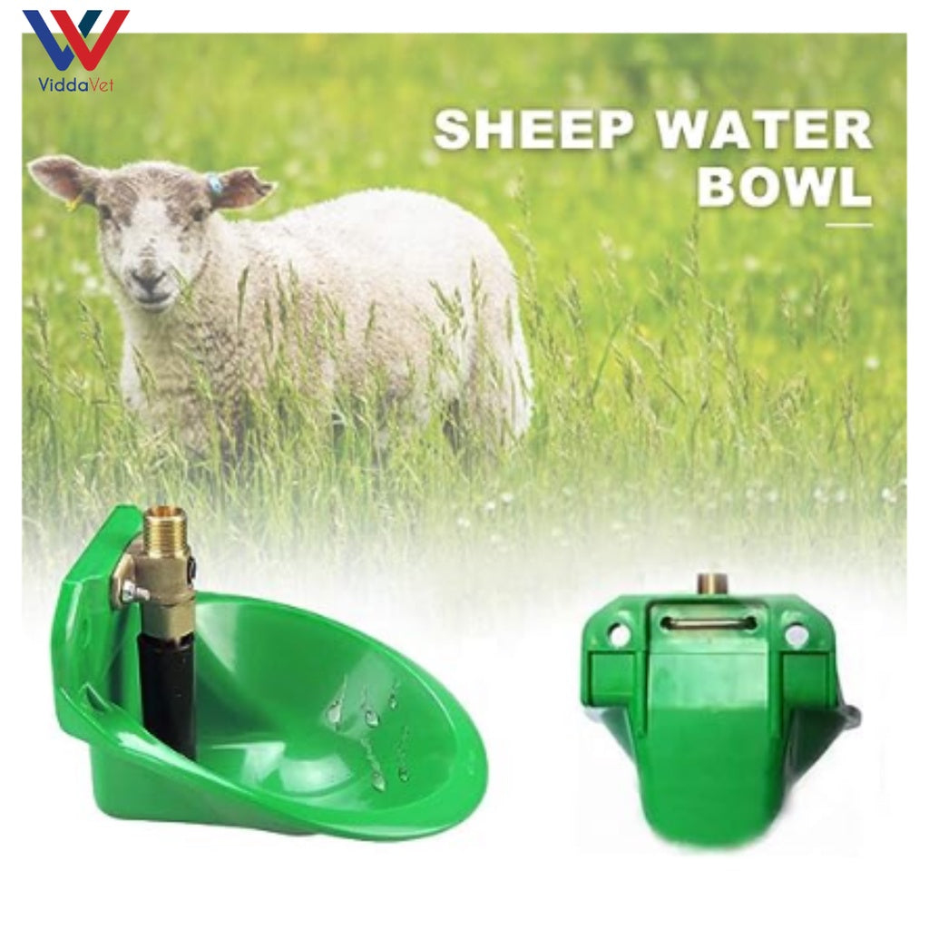 Automatic Water Bowl Drinker Goats