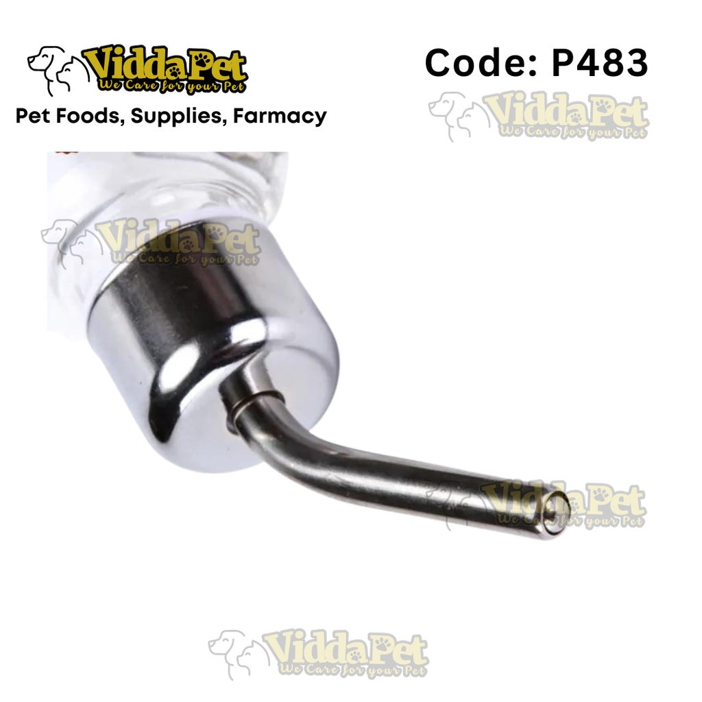 Clear Transparent Hanging Water Bottle