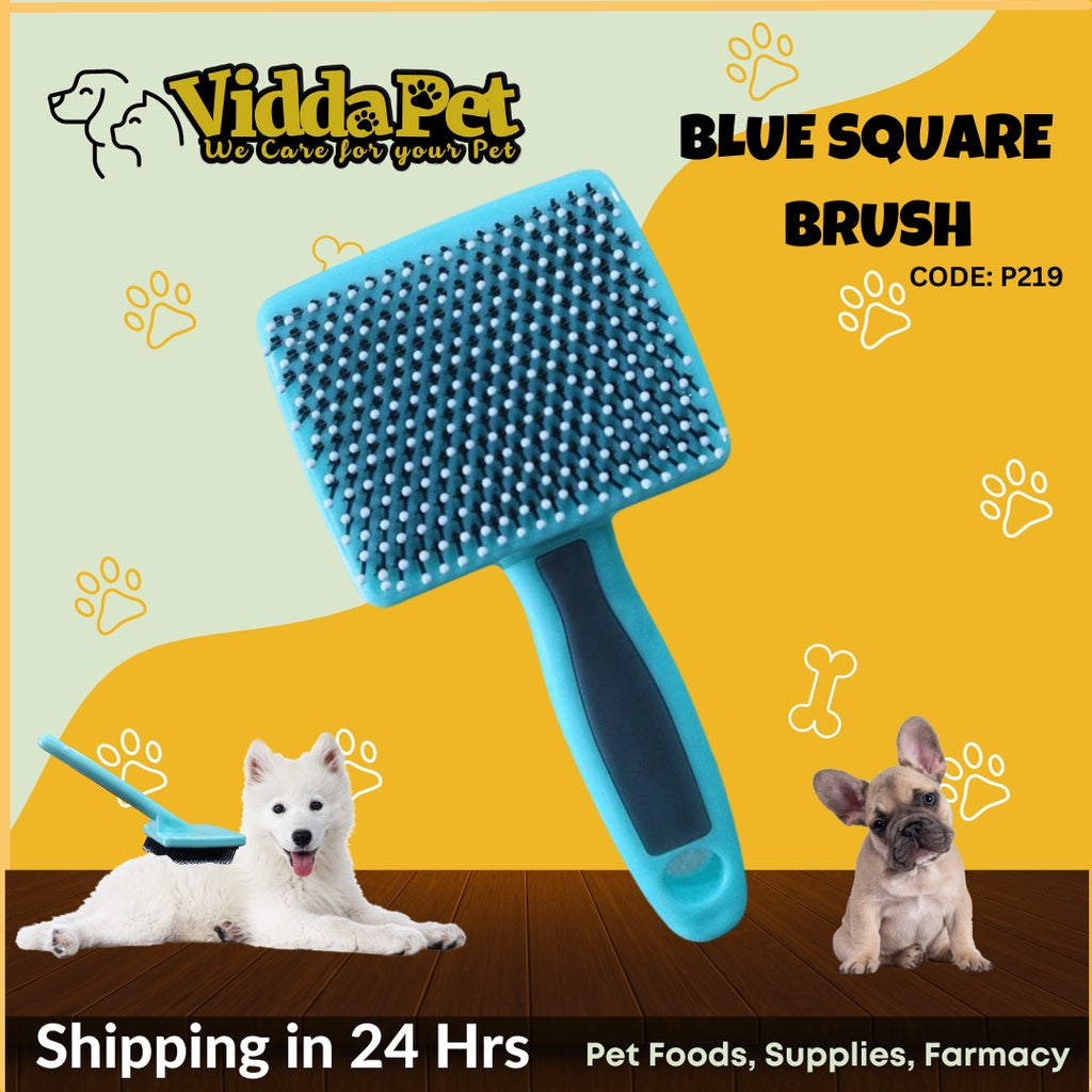 Blue Square Pet Brush (S/M)