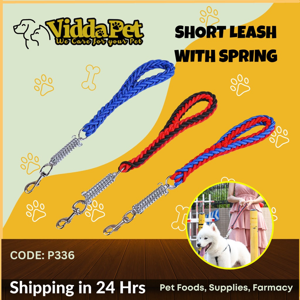 Dog Spring Short Leash