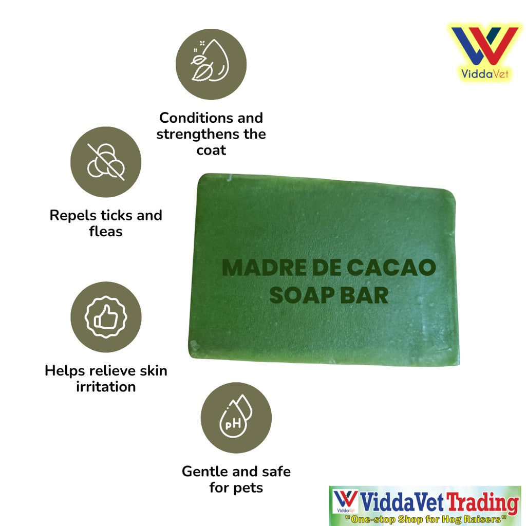 Madre De Cacao Soap