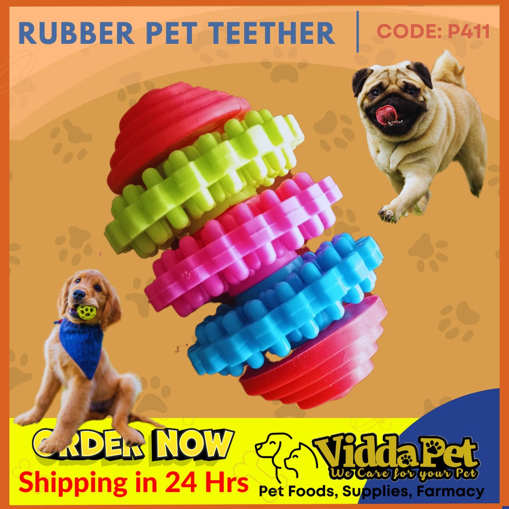 Rubber Pet Teether (Small/ Medium)