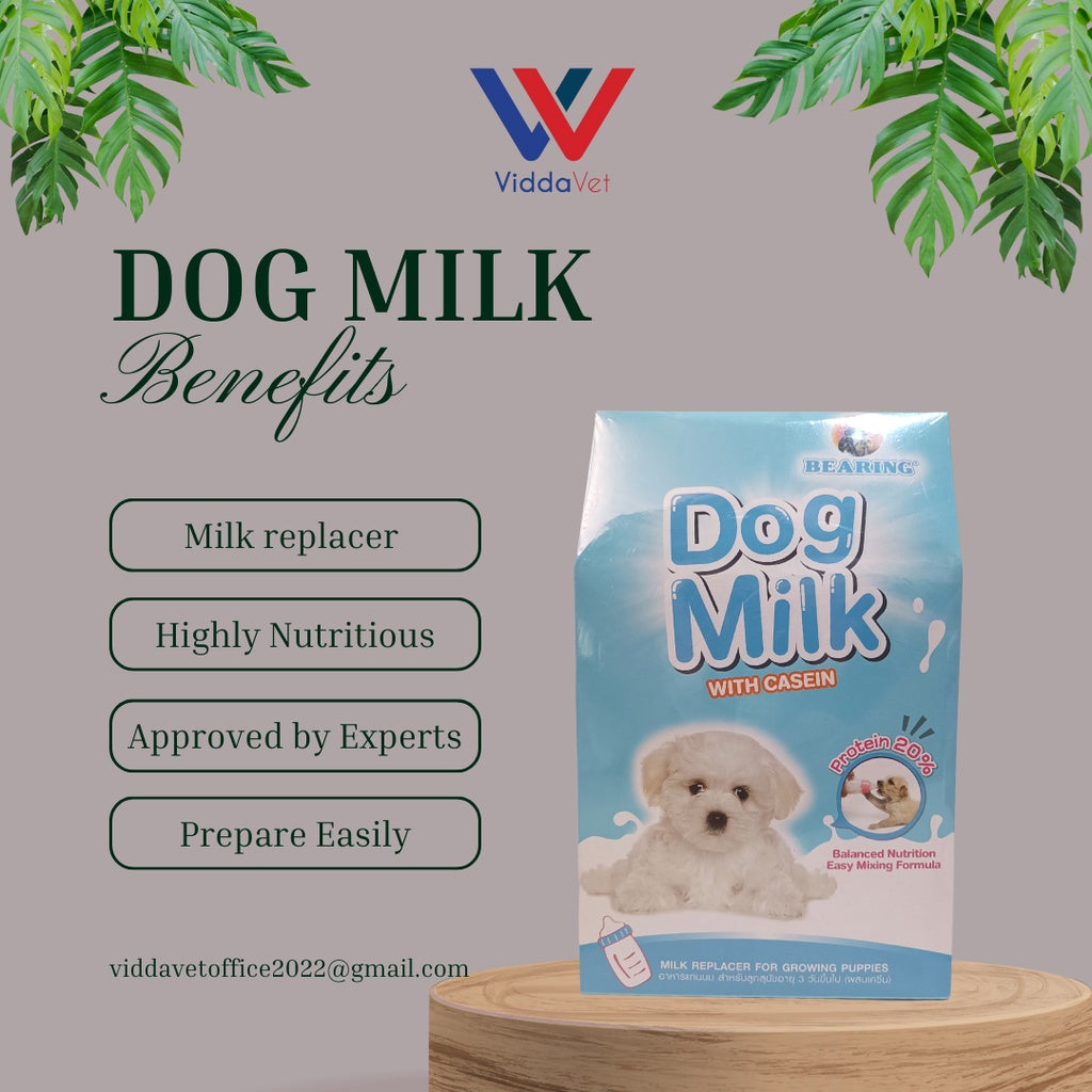 Bearing Dog Milk 300g