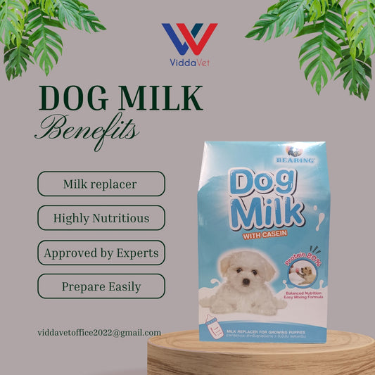 Bearing Dog Milk 300g