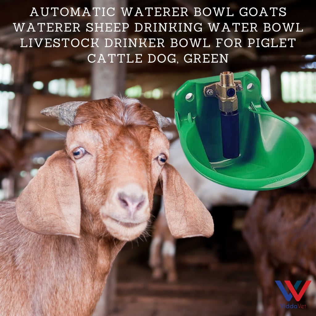 Automatic Water Bowl Drinker Goats