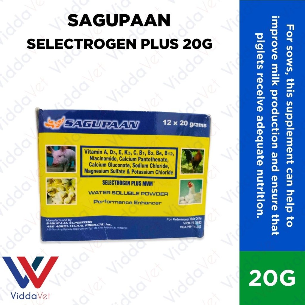 Sagupaan Selectrogen Plus 20g 1 Box