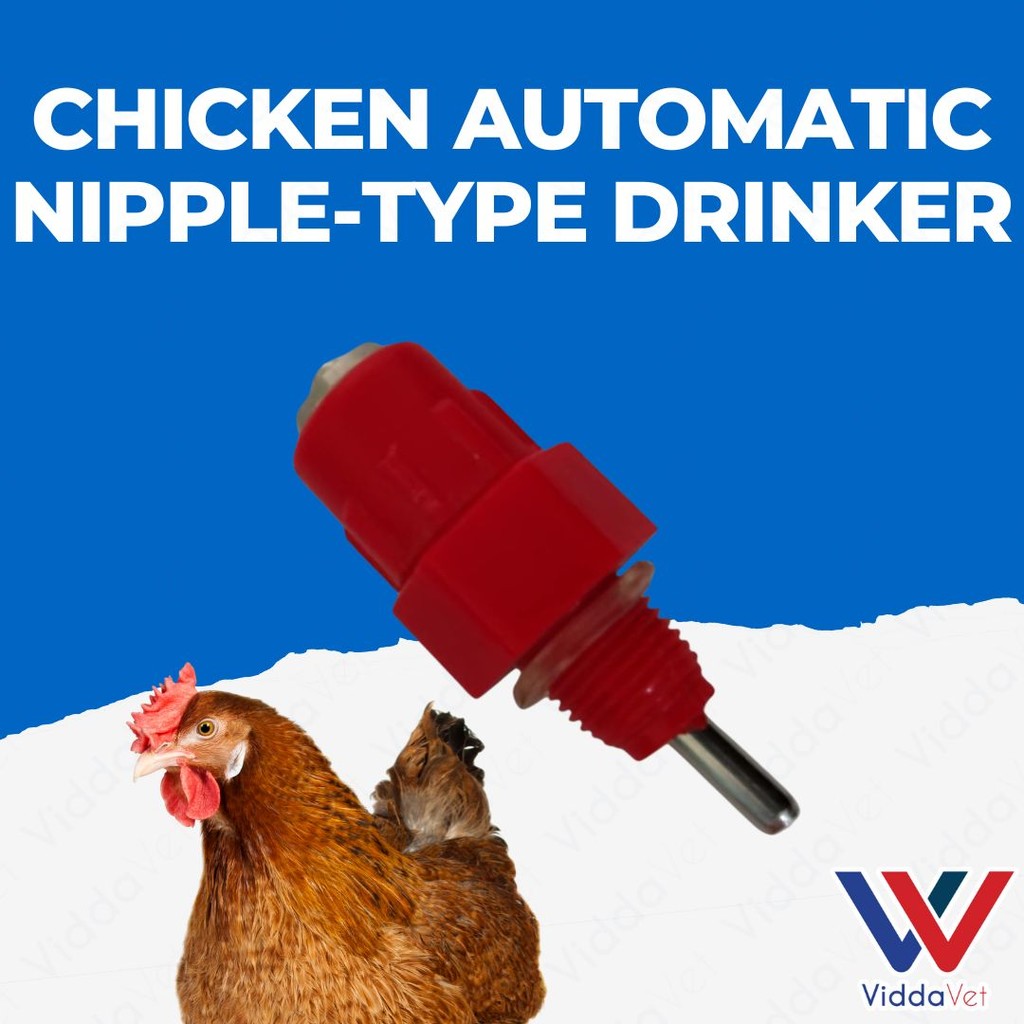 Chicken Nipple Drinker