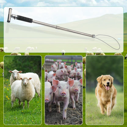 1Pc Stainless Steel Catching Pig