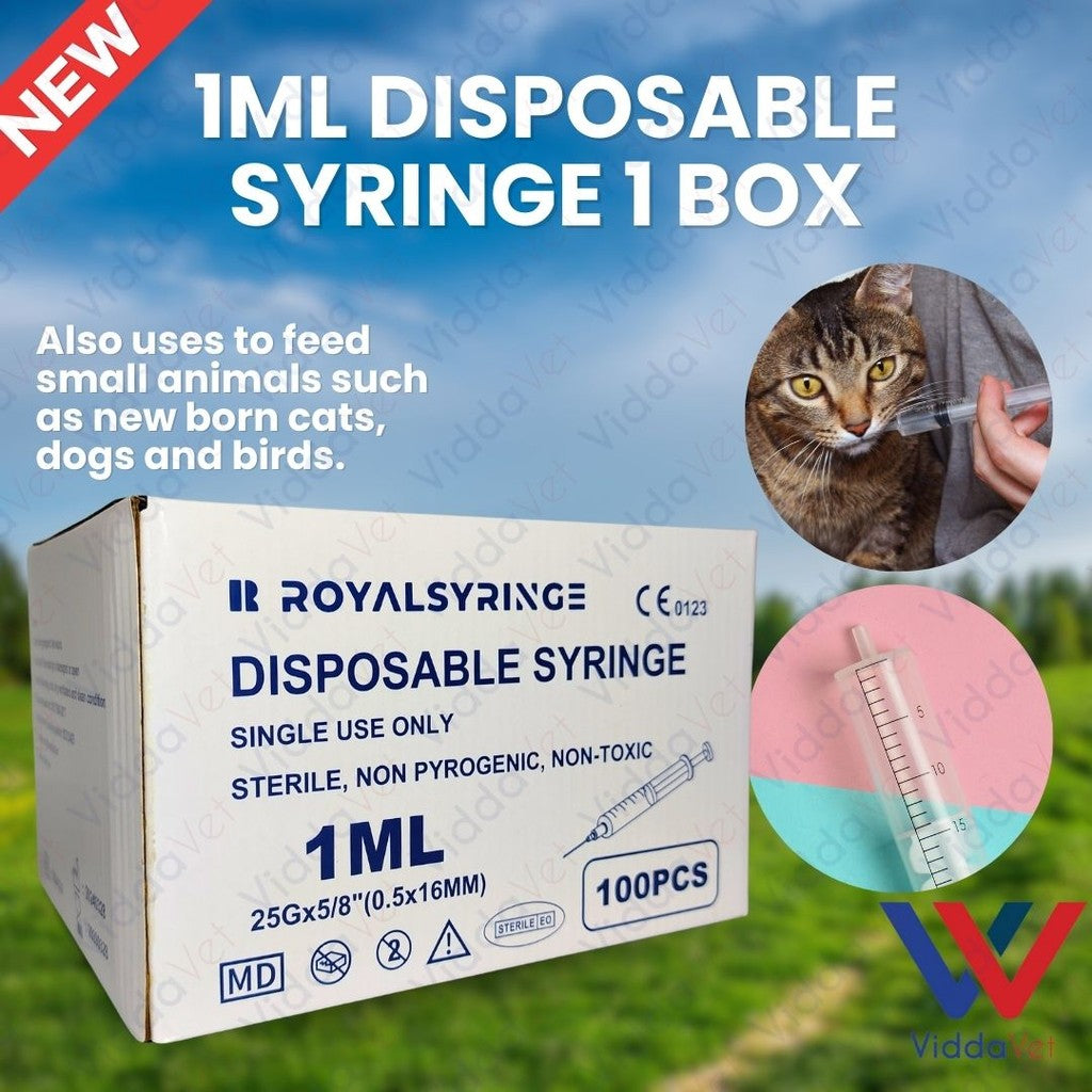 Disposable Syringe 1ML 100pcs