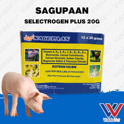 Sagupaan Selectrogen Plus 20g 1 Box