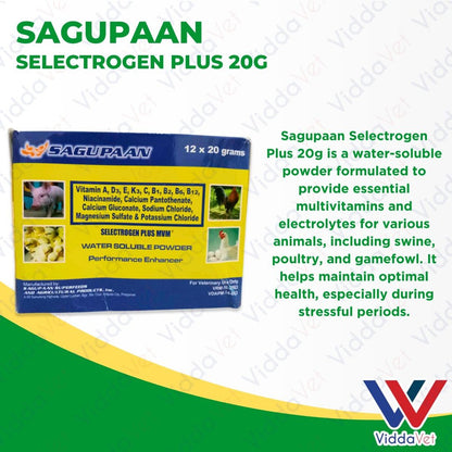Sagupaan Selectrogen Plus 20g 1 Box