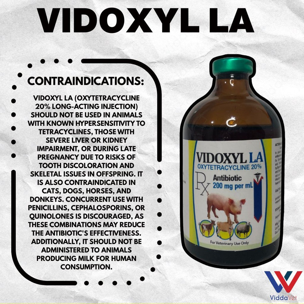 Vidoxyl LA 100ml