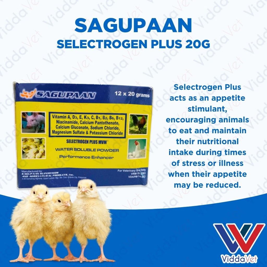 Sagupaan Selectrogen Plus 20g 1 Box