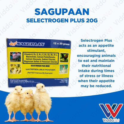 Sagupaan Selectrogen Plus 20g 1 Box