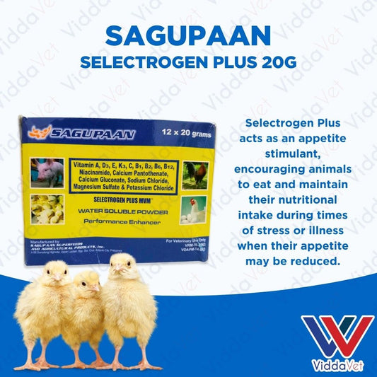 Sagupaan Selectrogen Plus 20g 1 Box