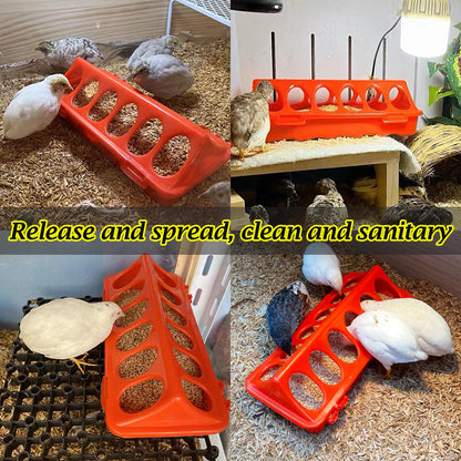 Poultry Ground Feeder Chicken