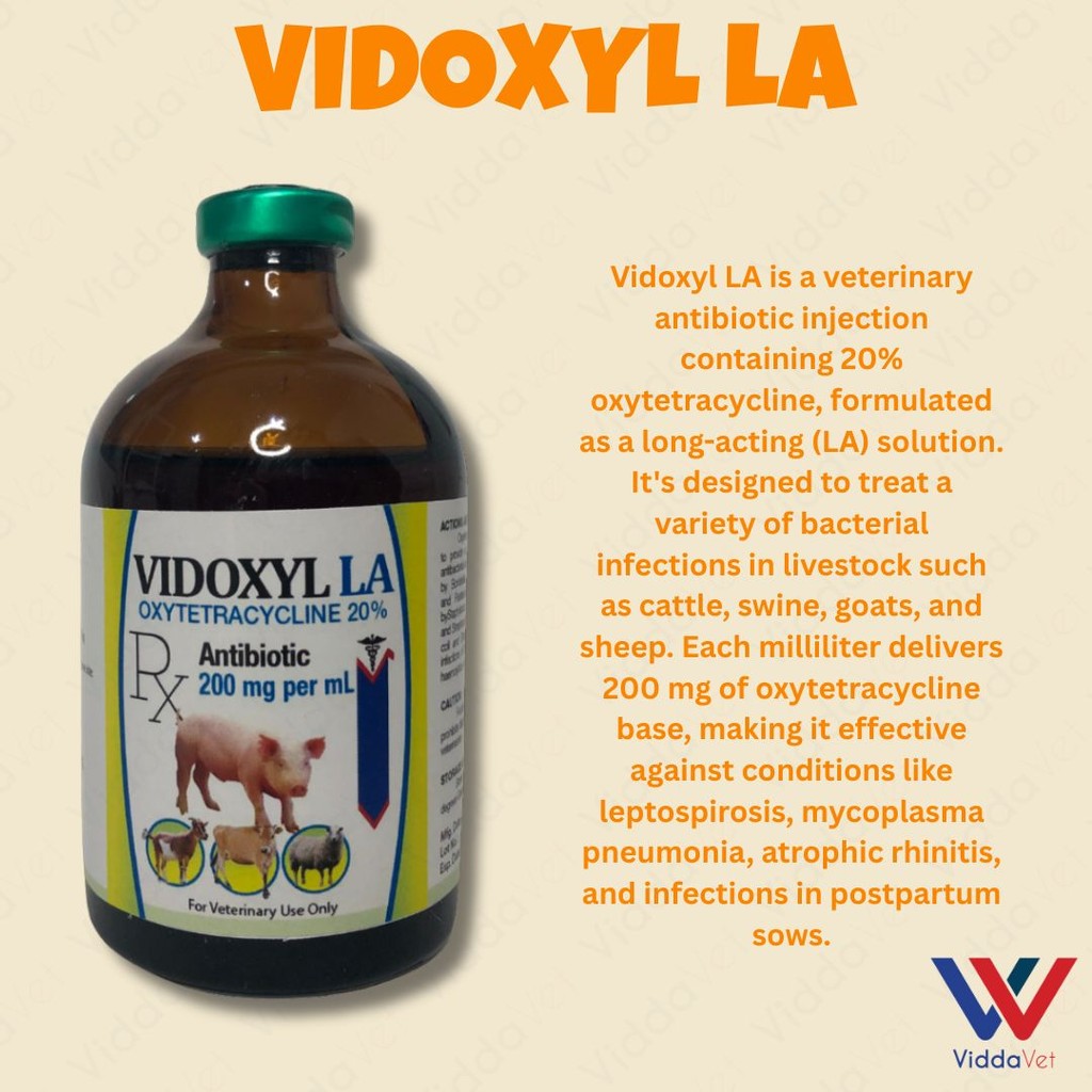 Vidoxyl LA 100ml