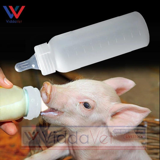 Animal Feeding Bottle 250ML