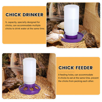 Chicken Feeder and Drinker