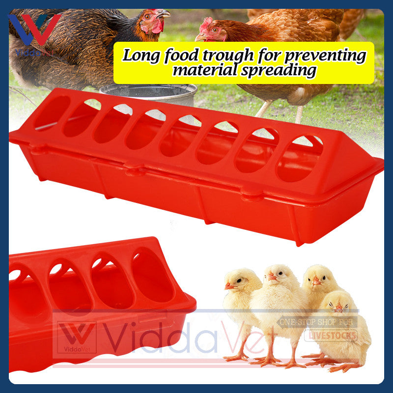 Poultry Ground Feeder Chicken