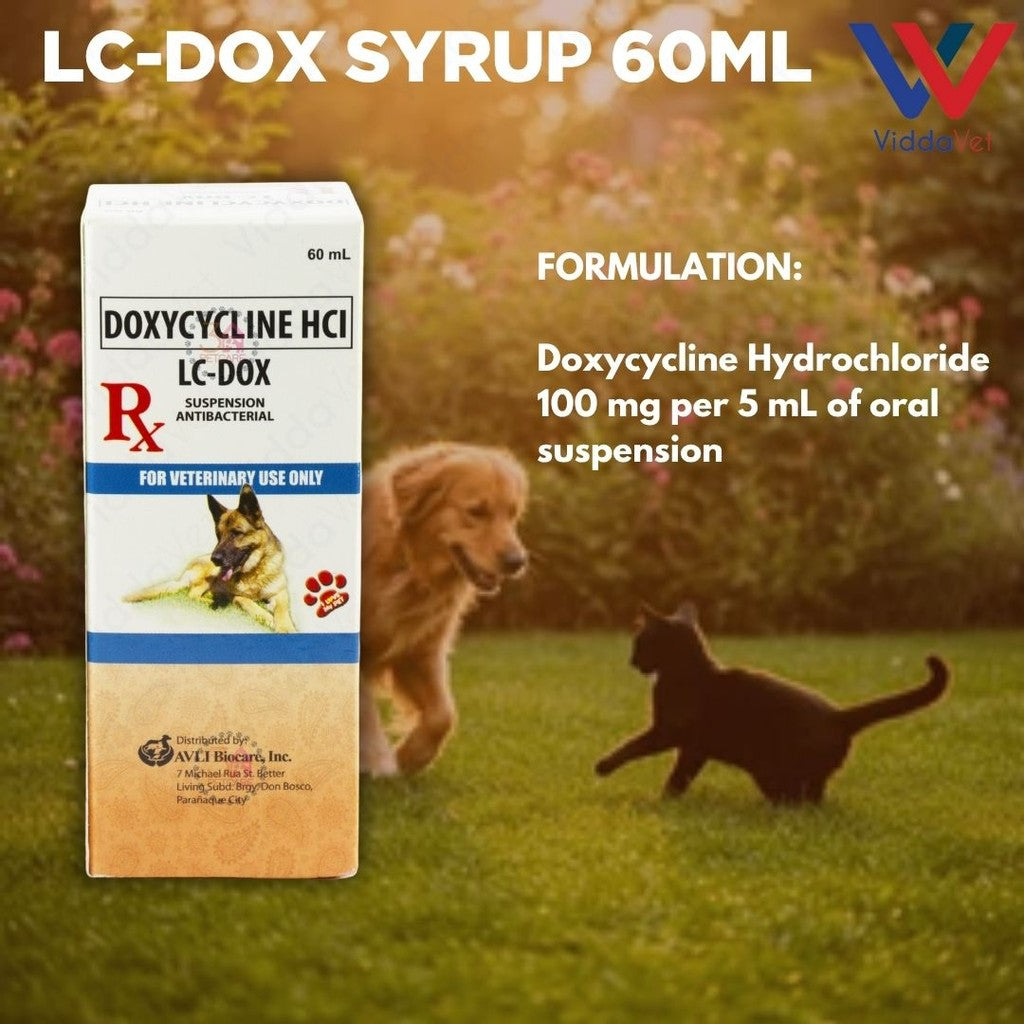 LC Dox Syrup 60ml
