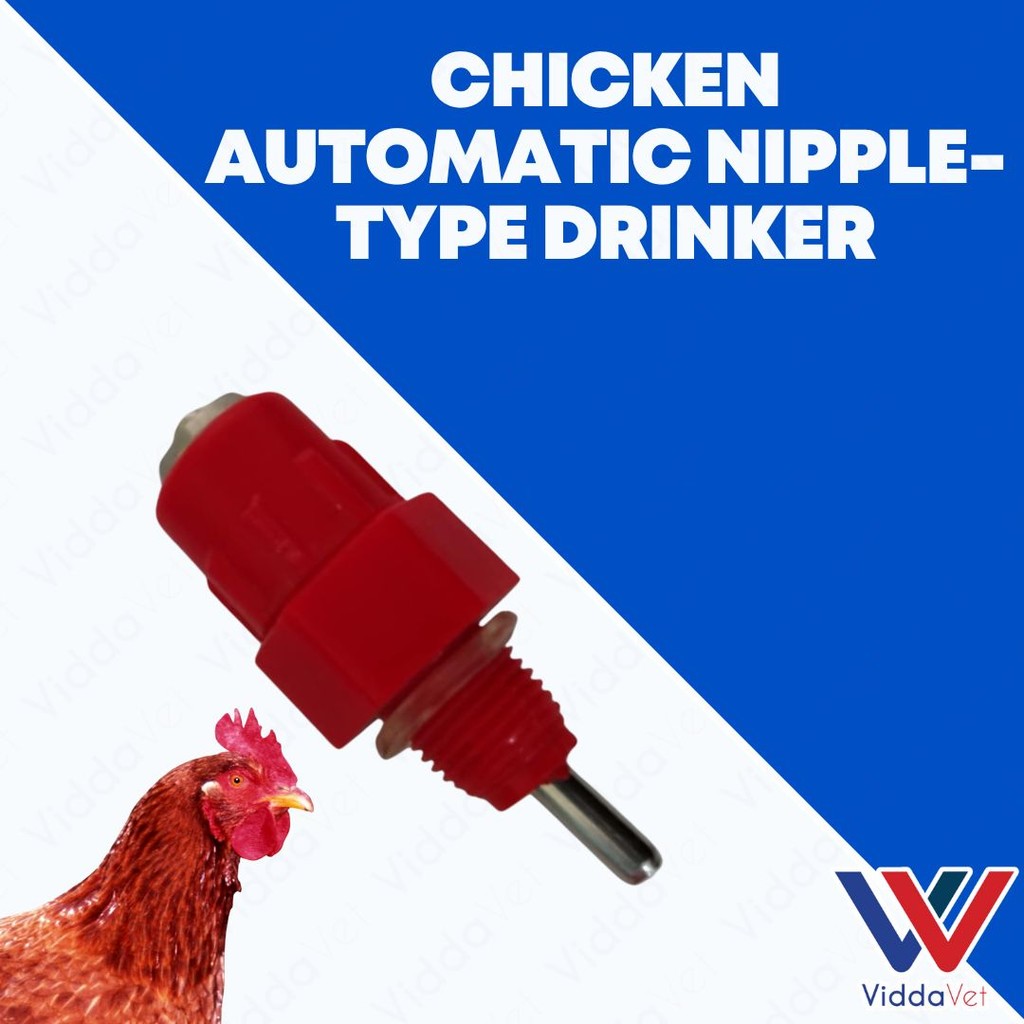 Chicken Nipple Drinker