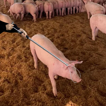 1Pc Stainless Steel Catching Pig